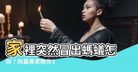 家中有蟻怎辦|家裡螞蟻多到殺不完怎麼辦？居家達人教4招滅蟻方法…